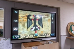 Adler auf Fernseher